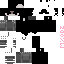 Texture for Steve