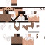 Texture for Desert Pheonix 2