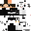 Texture for SKIBIDI2024