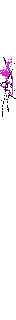 Texture for  b and p