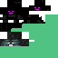 Texture for enderwither