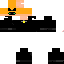Texture for cat noir