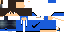 Texture for Pacemon