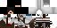 Texture for MINER