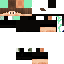 Texture for LUPP 