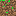 Texture for tierra
