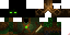 Texture for Forest ninja