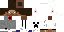Texture for Steve