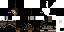 Texture for _Silver_PL