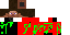Texture for new steve