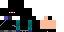 Texture for NINJA