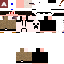 Texture for robert2