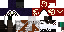 Texture for Zebra Trader