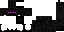 Texture for max