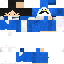 Texture for Penguin 1