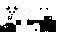 Texture for gnarlypanda