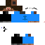 Texture for chamirDt