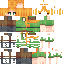 Texture for alex