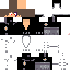 Texture for Wuizar09