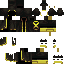 Texture for DenSent2