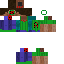 Texture for Melon Infection