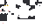 Texture for Swiftpaw