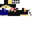 Texture for Principal baldis basics