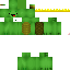 Texture for tortue
