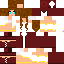 Texture for new version