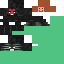 Texture for The WITHER