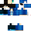Texture for SentryCraft