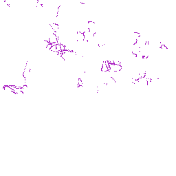 Texture for Explosion