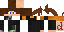 Texture for FTT