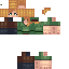 Texture for alex