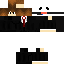 Texture for simba6453