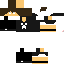 Texture for AllanPlayer Reverse