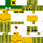 Texture for gui peida