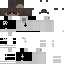 Texture for e11