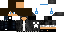 Texture for camper29