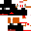 Texture for toto1244
