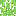 Texture for pear tree