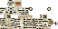 Texture for JED RED T