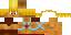Texture for stenner