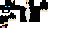 Texture for cat 1