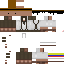 Texture for paisa 