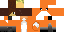 Texture for minerfox1