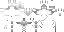 Texture for skeleton
