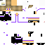 Texture for Ender