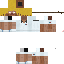 Texture for blind