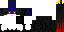 Texture for enderman pro